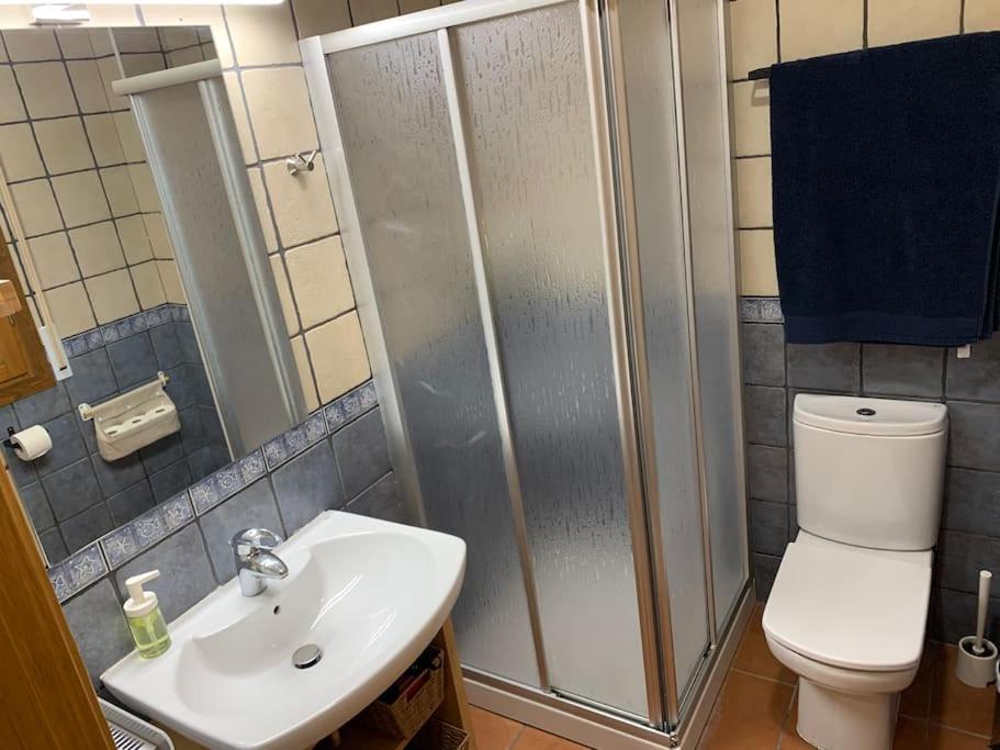 Apartamento Pineta Bielsa Zewnętrze zdjęcie