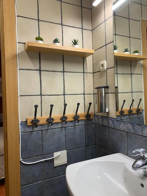 Apartamento Pineta Bielsa Zewnętrze zdjęcie